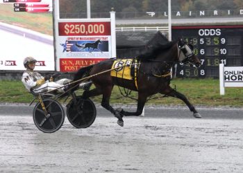 Local champ has home field advantage in $100,000 trot