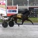 Local champ has home field advantage in $100,000 trot