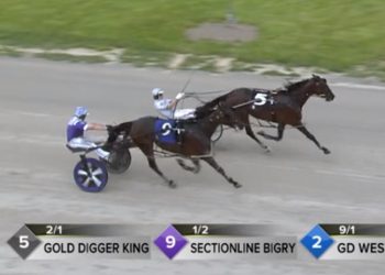 Gate-to-wire for Gold Digger King
