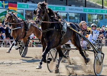 Mister F Daag wins 2022 Copenhagen Cup