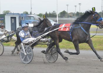 Stella Alpha is the Princess of Trot at H3R