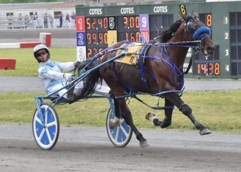 Platine Alpha by a nose at Hippodrome 3R