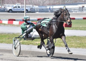 XOXO upsets male rivals at Hippodrome 3R