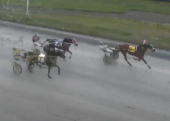 American Risk four-for-four