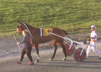 American Risk remains unbeaten through three