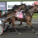 Confident win by royally-bred trotter 2 Confident win by royally-bred trotter