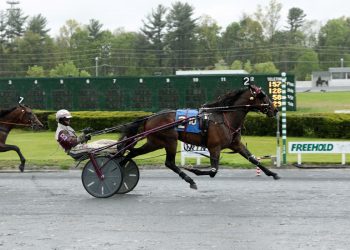 $150,505 Dexter Cup Trot to Brave By Design