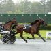 AHDC trot action at Freehold 2