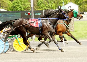 Cash Me Out pays well at The Spa