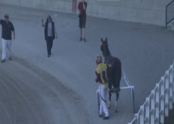 Charmbo Stormy making strides