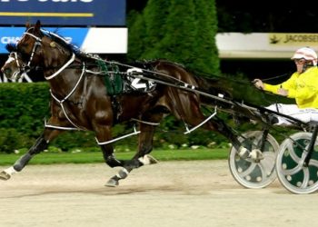 Weanling graduates destined for stardom