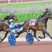 AHDC Trots held at Pocono Downs 4 Buzz hangs tough at The Downs