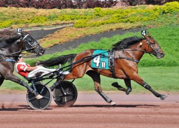 Trot record for season tied at The Downs