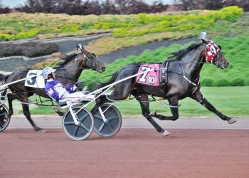 Brian Brown discusses his double Cup entry