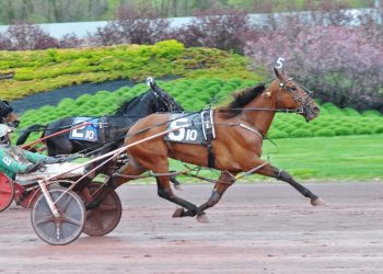 Derby Day features to Rebellious and Scirocco Rob