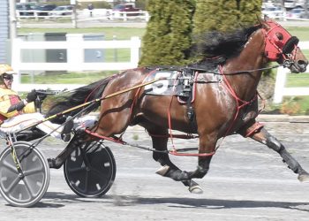 Captain Nash and Bruce Ranger perfect together