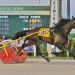 Four in a row for Dover In Motion 4 Indiana-sired stars battle in $442,000 Hoosier card