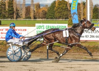 Searing speed keeps Bettor’s Delight colt unbeaten