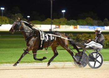 Race record win in Trotting Oaks