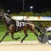 Double Delight on track for Oaks campaign 3 Race record win in Trotting Oaks