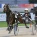 Pacing-bred fillies favoured in trotting feature