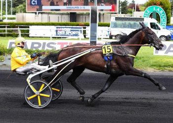 Earl Simon best in Grand National du Trot Paris-Turf fifth leg