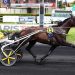 Earl Simon best in Grand National du Trot Paris-Turf fifth leg 3 Earl Simon best in Grand National du Trot Paris-Turf fifth leg
