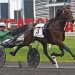 International Trot hopeful Ecurie D DK wins prep 2 Top trotters to tangle in $170,450 Cutler