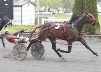 Dan Deslandes has hot hands in the sulky