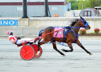 Feeling Sweet grinds it out, Stafford wins five