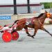 Shea Lare scores first pari-mutuel driving victory