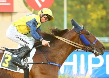 Fire Cracker wins monte feature at Vincennes