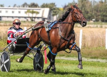 Franco Marek goes four straight