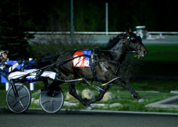 Sharp Frozen Hanover continues improving