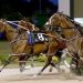 Purdon hoping to win Roy Purdon Memorial