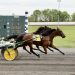 Trotting fillies shine in PASS and Stallion Series