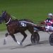 Love You progeny land NZ plums 4 NZ record smashed in $100,000 Trotting Derby