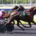 European stars battle at Vincennes