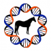 Study released on genetic diversity of Standardbreds 2 Study released on genetic diversity of Standardbreds
