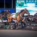 Esplosione topples big favourite in $101,300 OSS Gold