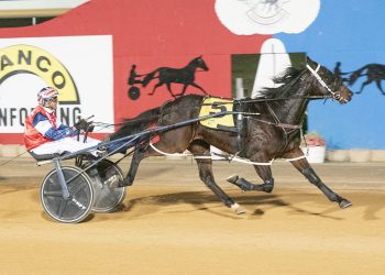 Globe Derby Park two-year-old trifecta