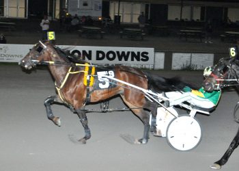 Joxter grinds first-up to take Vernon Open