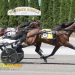 First NYSS of the season held at Tioga Downs 4 First NYSS of the season held at Tioga Downs