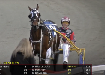 MacLellan victorious in pari-mutuel debut