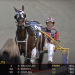 MacLellan victorious in pari-mutuel debut 2 MacLellan victorious in pari-mutuel debut