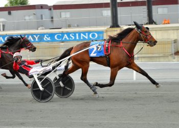 Monarch takes the Harrington throne