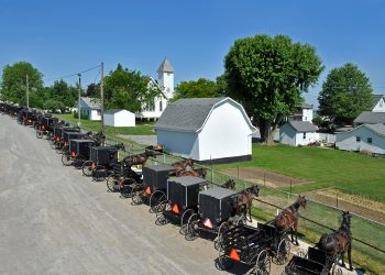 World’s biggest Amish horse sale Friday