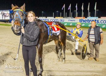 Stable star to rise to the top