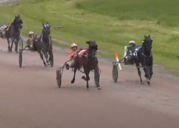 Macneil duo battles in Winners Over victory