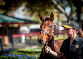 Registrations open for 2022 Weanling Sale online bidding